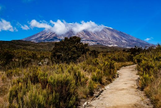 a dirt path with a mountain in the background